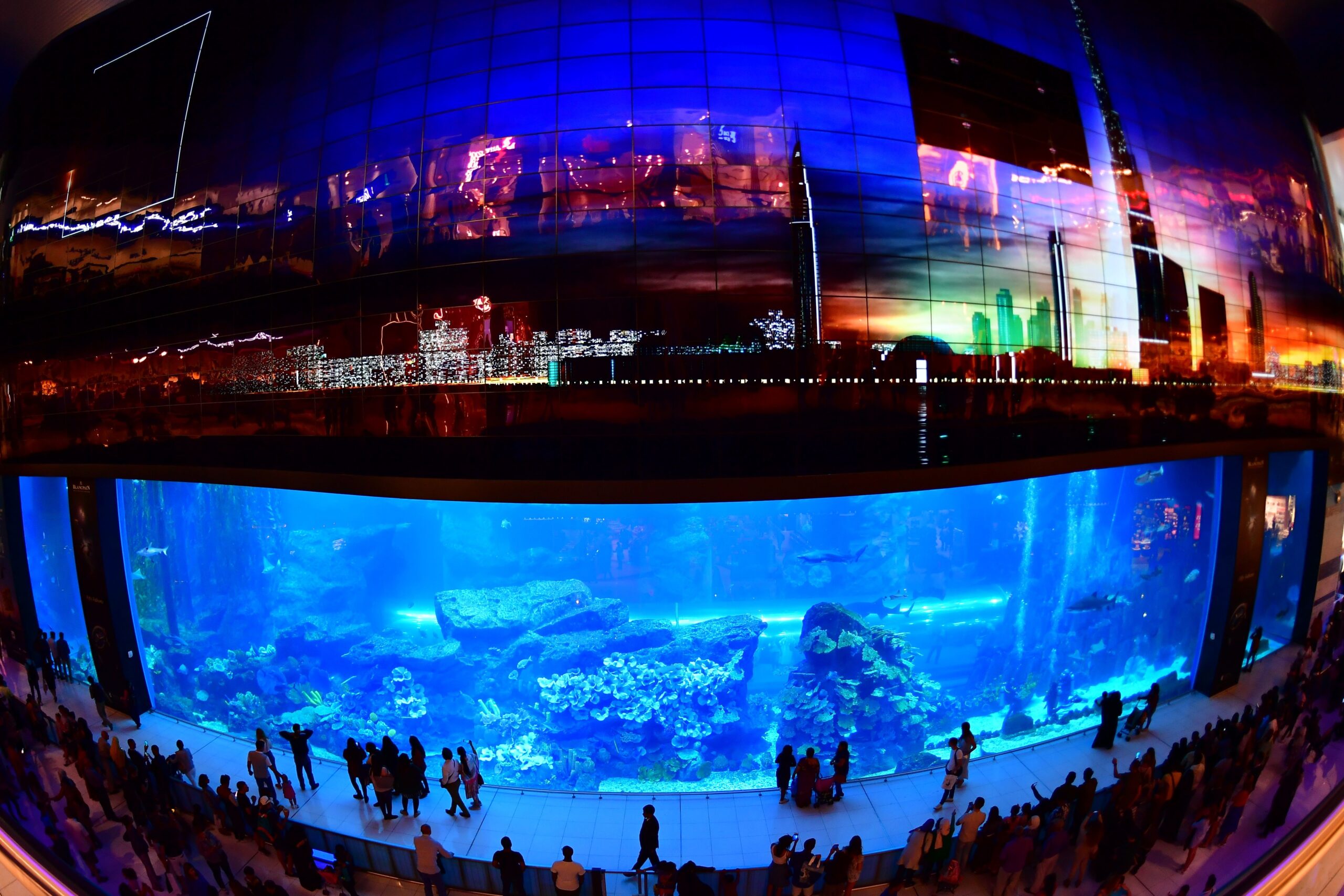 Dubai Mall aquarium 